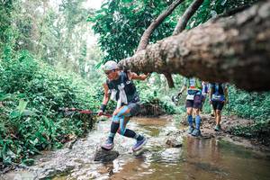 BIB: 
                            <button type="button" onclick="openModal(25374612)" class="btn btn-primary btn-sm float-right btn-popup" data-toggle="modal" data-target=".modal-high-quality">
                        <i class="fas fa-shopping-cart"></i> Add to Cart
                    </button>
                                            <button type="button" onclick="isThisMe(25374612, true)" class="btn btn-success btn-sm float-right btn-popup btn-isme hidden" data-toggle="tooltip" data-placement="bottom" title="นี่คือรูปของคุณใช่ไหม คลิกที่นี่เพื่อเอาเข้าอัลบั้ม">
                        <i class="fas fa-plus"></i> Add to album
                    </button>
                    <button type="button" onclick="isThisMe(25374612, false)" class="btn btn-warning btn-sm float-right btn-popup btn-isnotme hidden">
                        <i class="fas fa-ban"></i> Remove from album
                    </button>